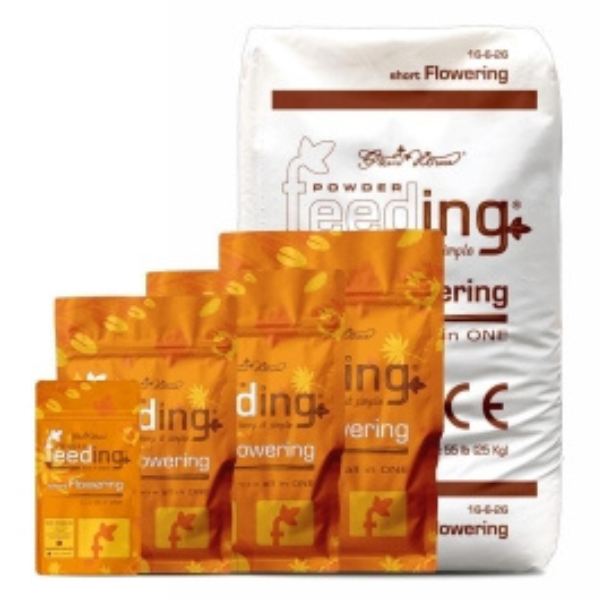 Short Flowering - GHF