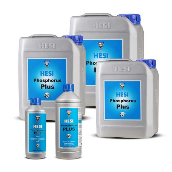 Fosfor Plus - H