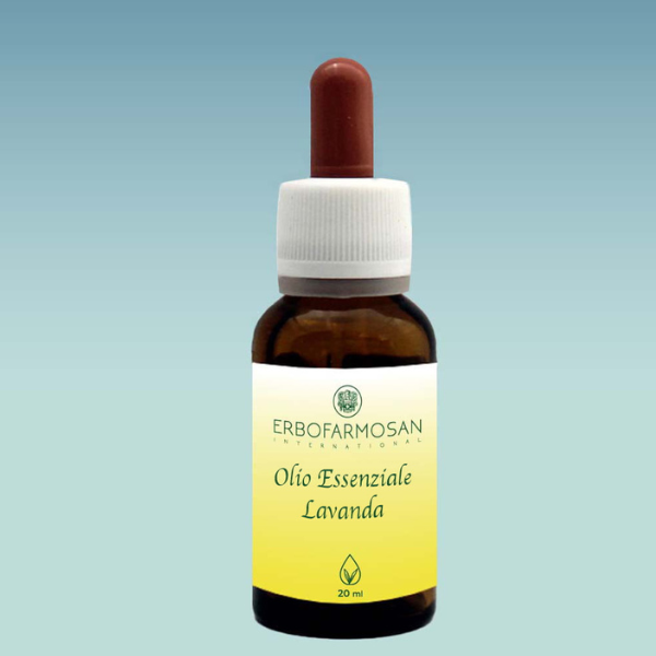 Lavanda - 20  ml