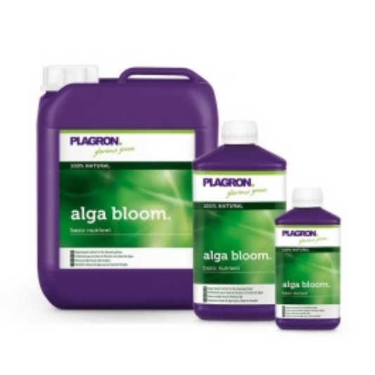 Alga Bloom - P