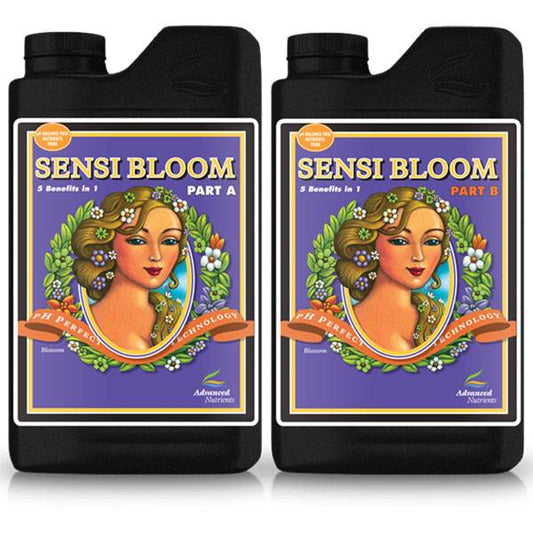 Sensi Bloom A + B - AD